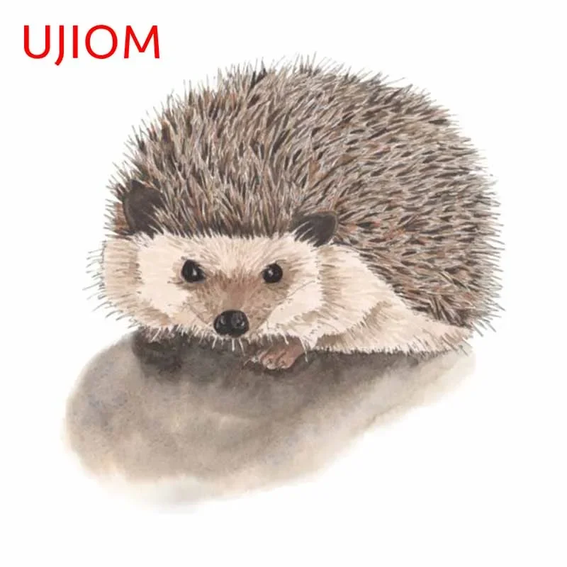 UJIOM 13cm Funny Hedgehog Cute - Baby Nursery Vinyl Wall Stickers 评论和价格